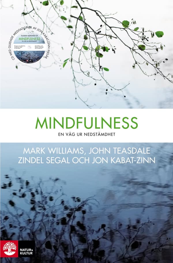 Mindfulness - En Väg Ur Nedstämdhet (Bok)
