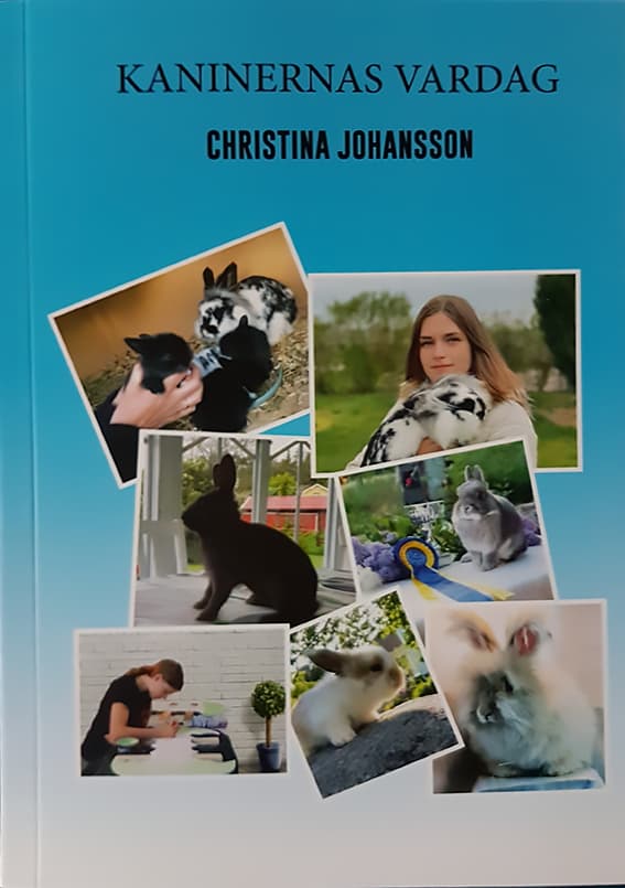 Kaninernas Vardag (Bok)