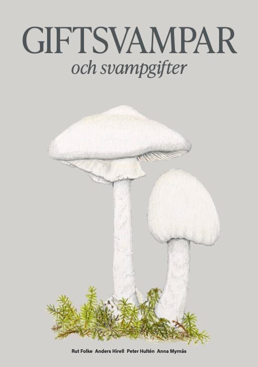 Giftsvampar Och Svampgifter (Bok)