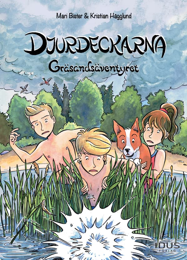 Gräsandsäventyret (Bok)