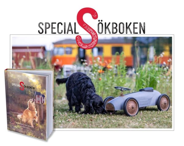 Specialsökboken (Bok)