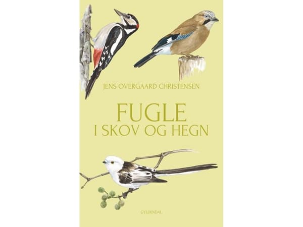 Fugle i skov og hegn | Jens Overgaard Christensen