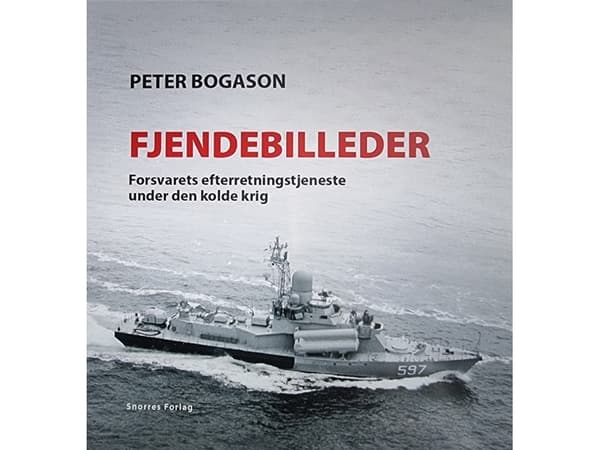 Fjendebilleder | Peter Bogason | Språk: Dansk