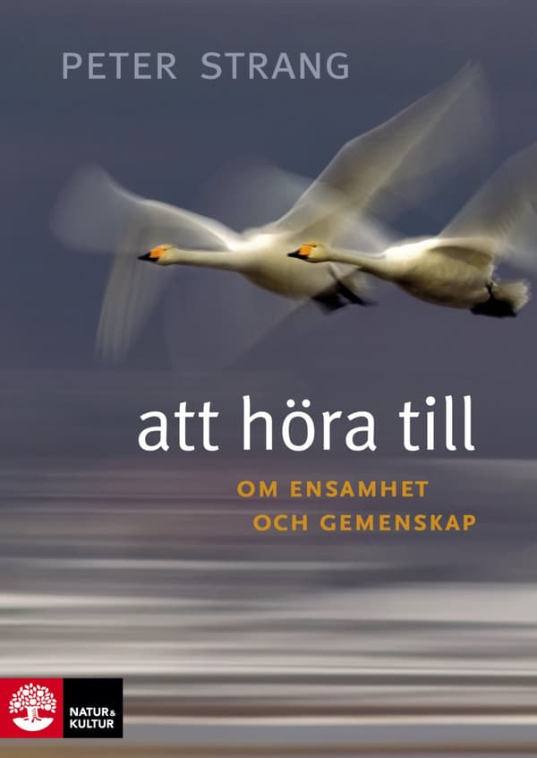 Att Höra Till - Om Ensamhet Och Gemenskap (Bok)