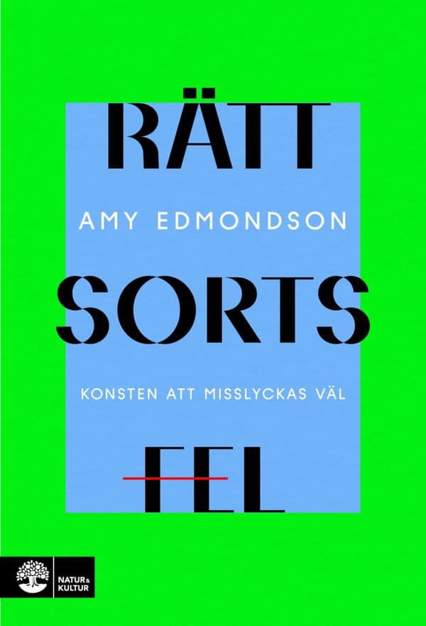 Rätt Sorts Fel - Konsten Att Misslyckas Väl (Bok)