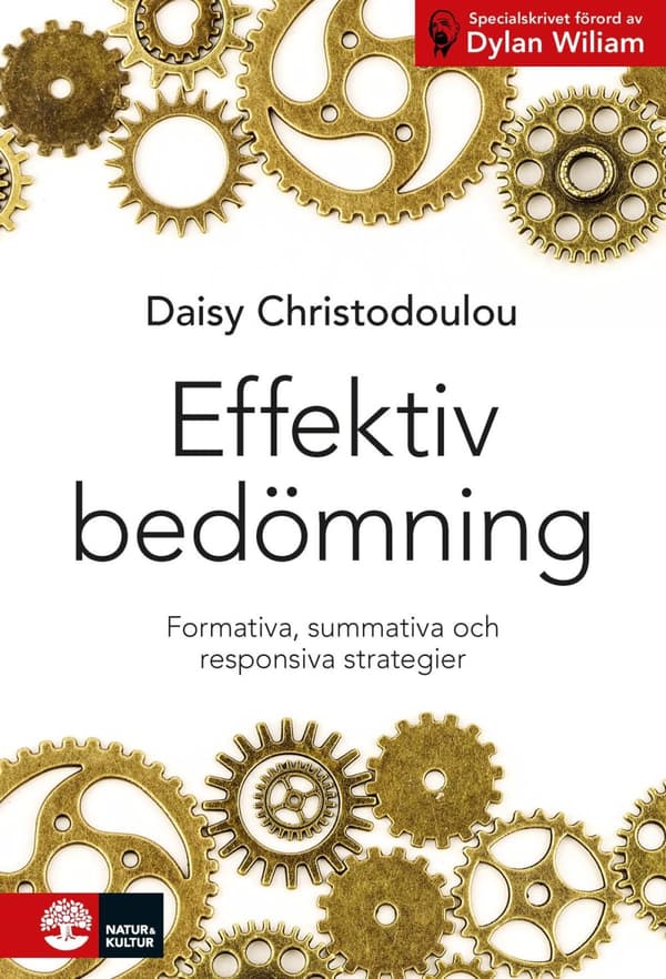 Effektiv Bedömning (Bok)