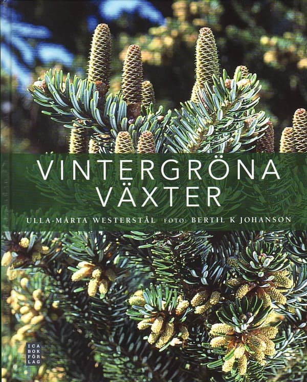 Vintergröna Växter (Bok)