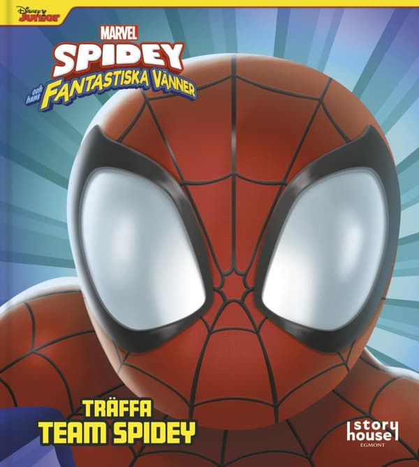 Träffa Team Spidey (Bok)