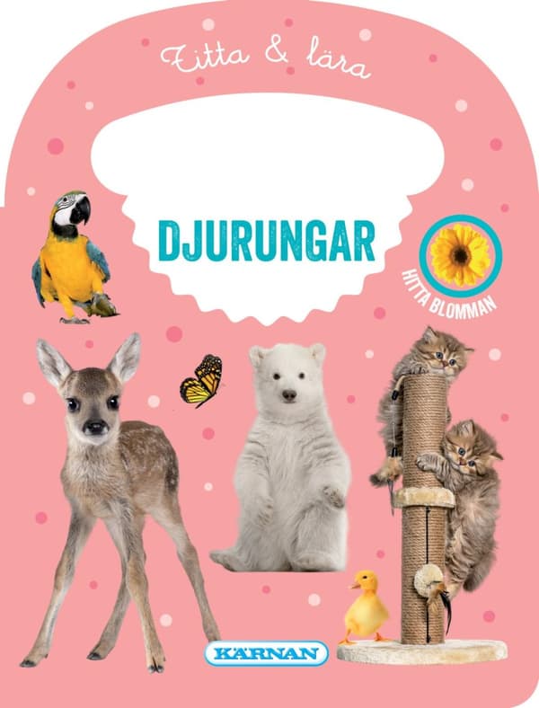 Titta & Lära Djurungar (Bok)