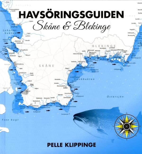 Havsöringsguiden. Skåne & Blekinge (Bok)