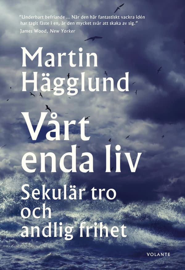 Vårt Enda Liv - Sekulär Tro Och Andlig Frihet (Bok)