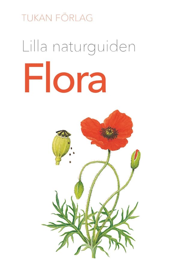 Lilla Naturguiden - Flora (Bok)