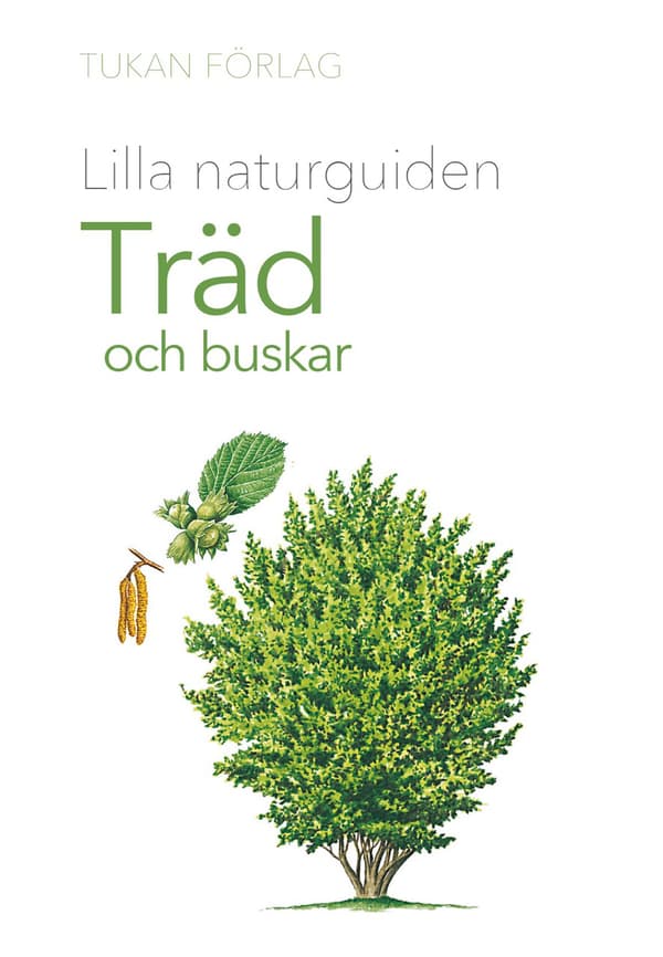 Lilla Naturguiden - Träd Och Buskar (Bok)