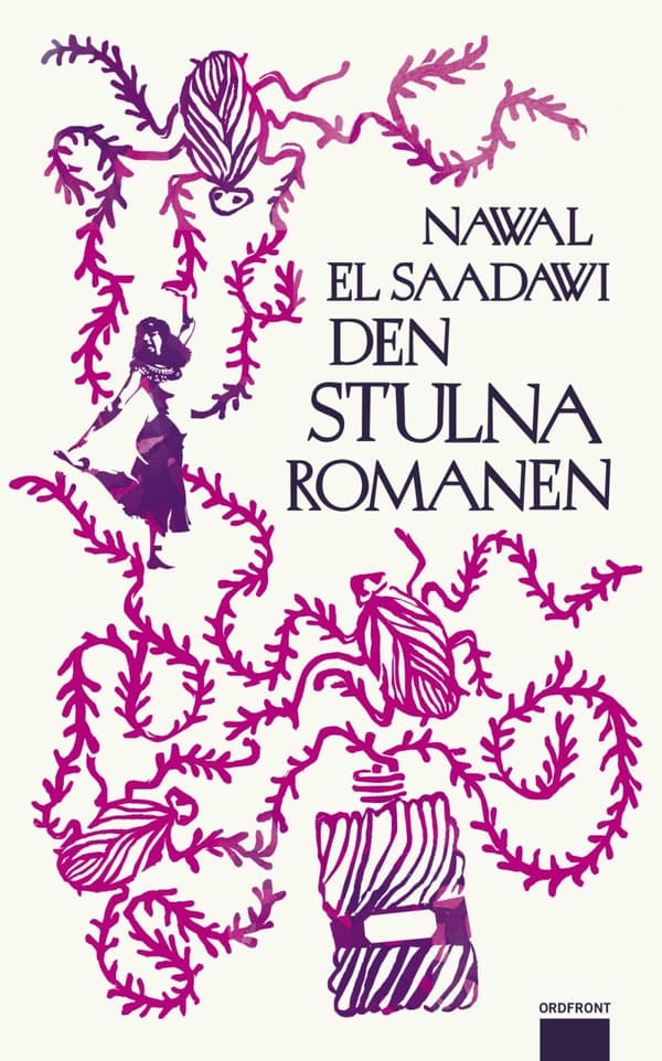 Den Stulna Romanen (Bok)