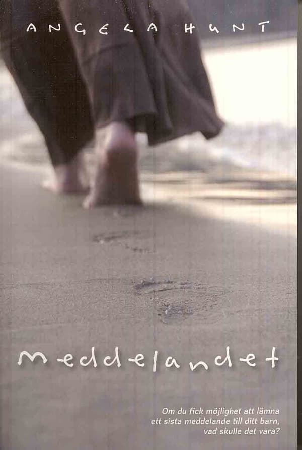 Meddelandet (Bok)