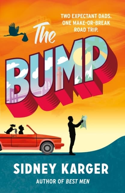 The Bump (Bok)