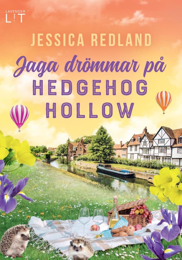 Jaga Drömmar På Hedgehog Hollow (Bok)