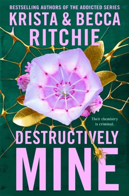 Destructively Mine (Bok)