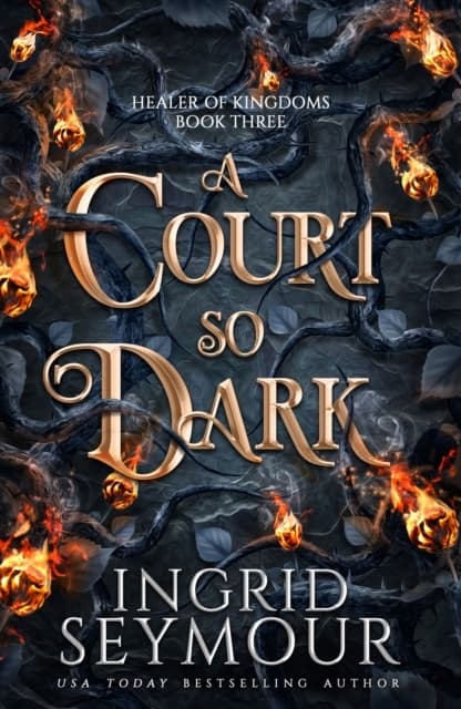 A Court So Dark (Bok)