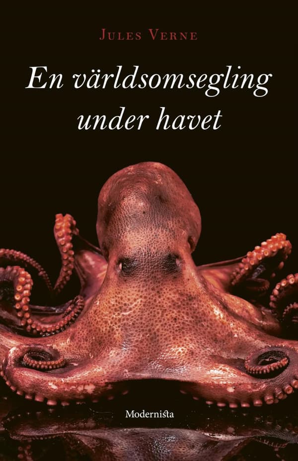 En Världsomsegling Under Havet (Bok)