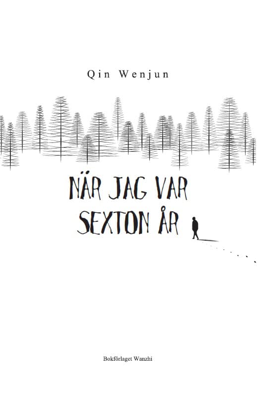När Jag Var Sexton År (Bok)