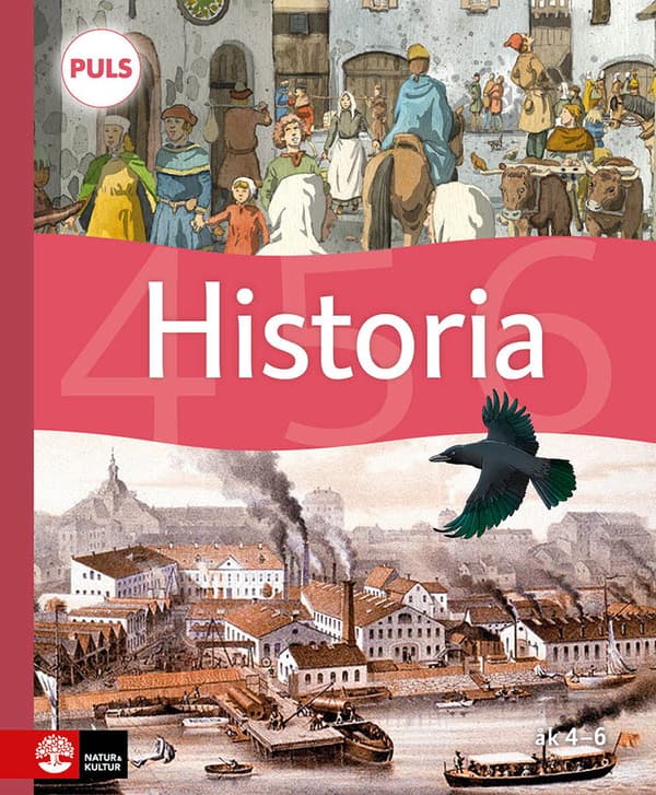 Puls Historia 4-6 Grundbok, Fjärde Upplagan (Bok)