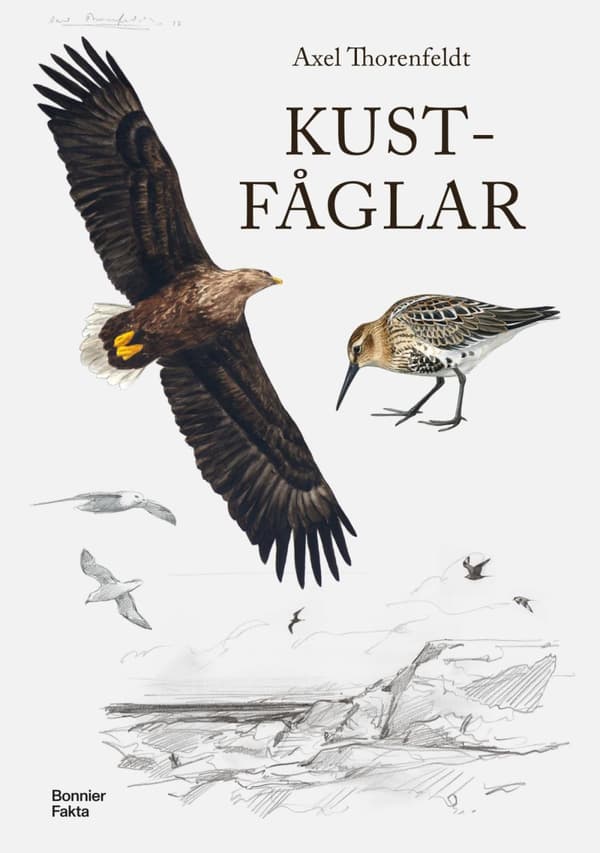 Kustfåglar (Bok)
