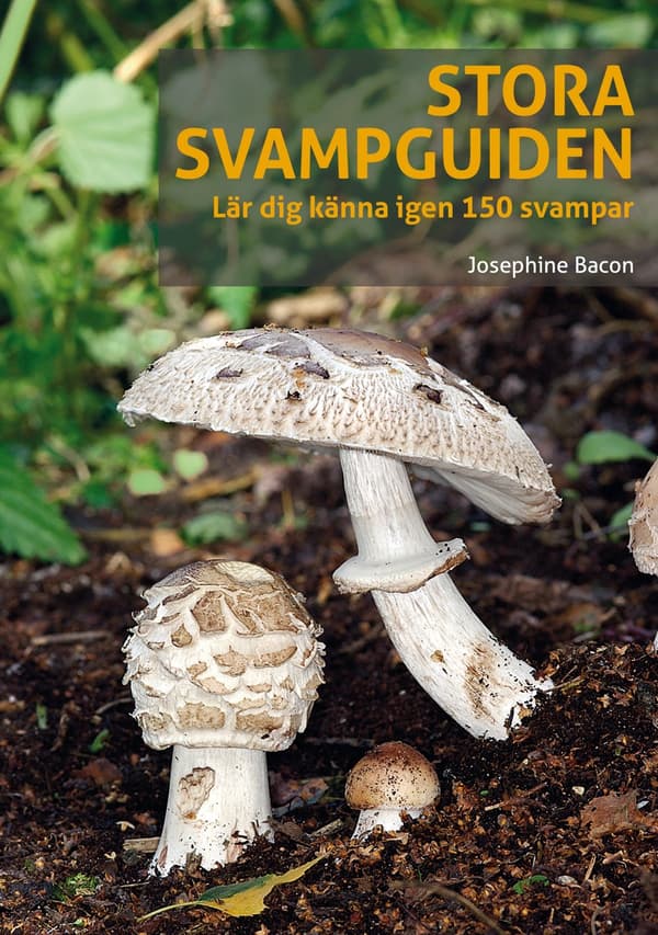 Stora Svampguiden - Lär Dig Känna Igen 150 Svampar (Bok)