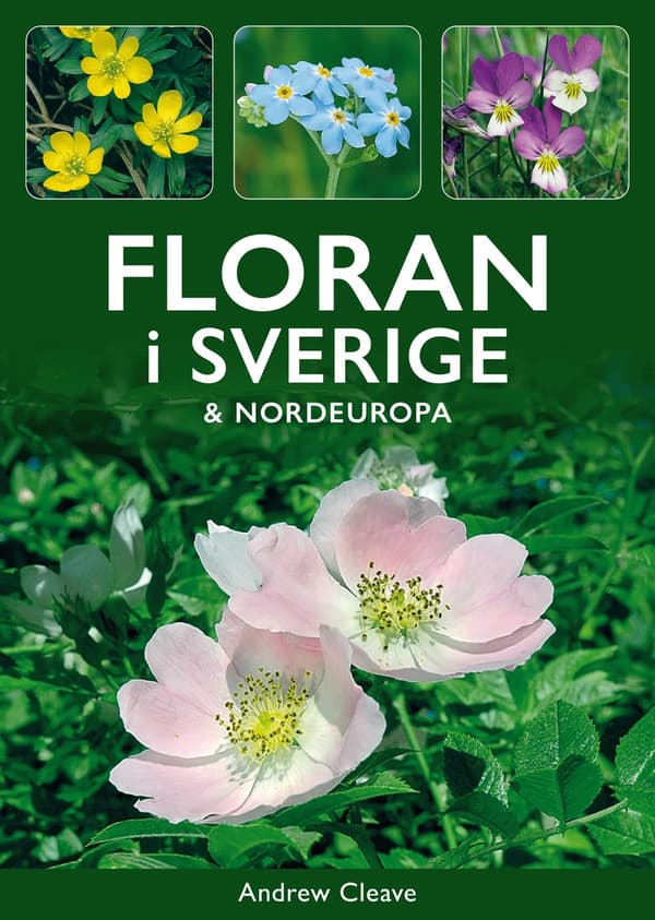 Floran I Sverige & Nordeuropa (Bok)