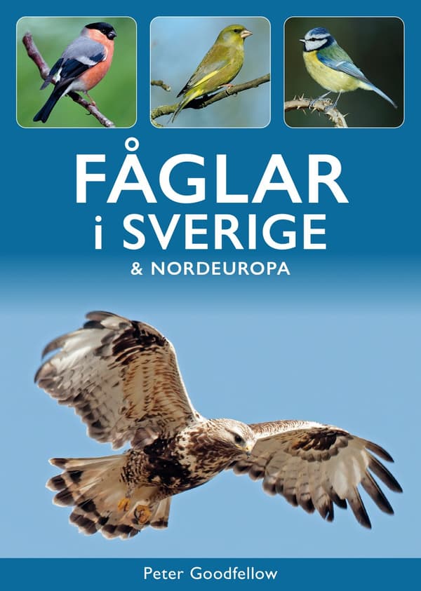 Fåglar I Sverige Och Nordeuropa (Bok)