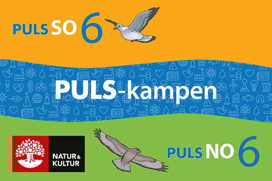 Puls-kampen No Och So Åk 6 (Bok)