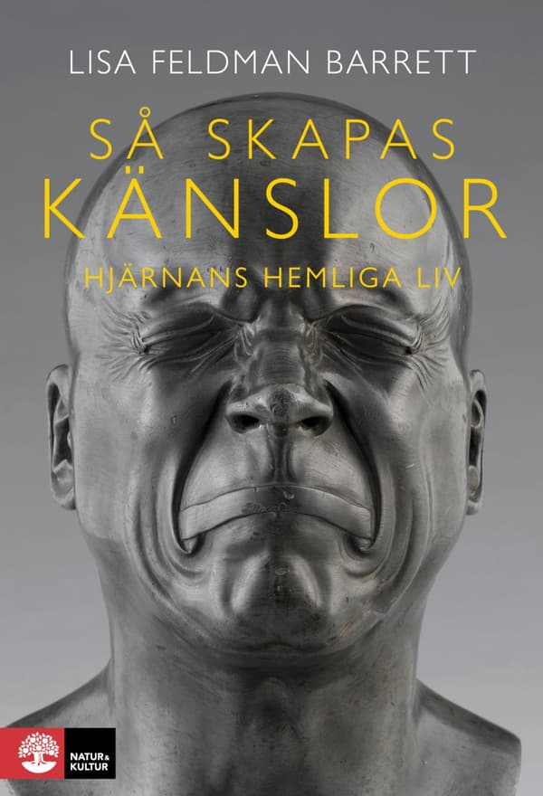 Så Skapas Känslor - Hjärnans Hemliga Liv (Bok)