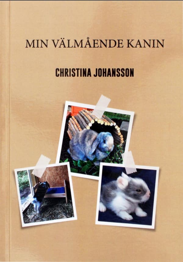 Min Välmående Kanin (Bok)