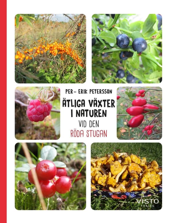 Ätliga Växter I Naturen Vid Den Röda Stugan (Bok)