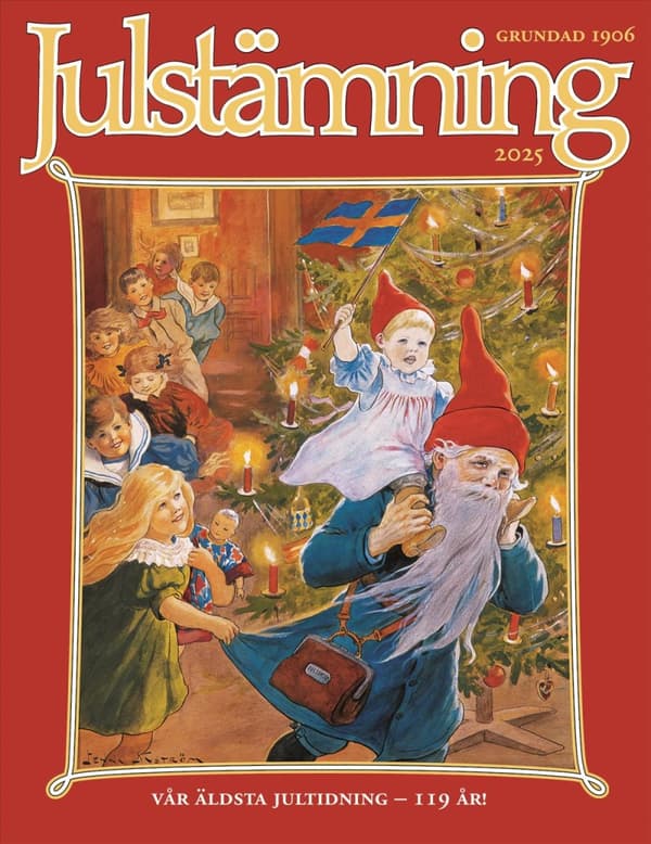 Julstämning 2025 (Bok)