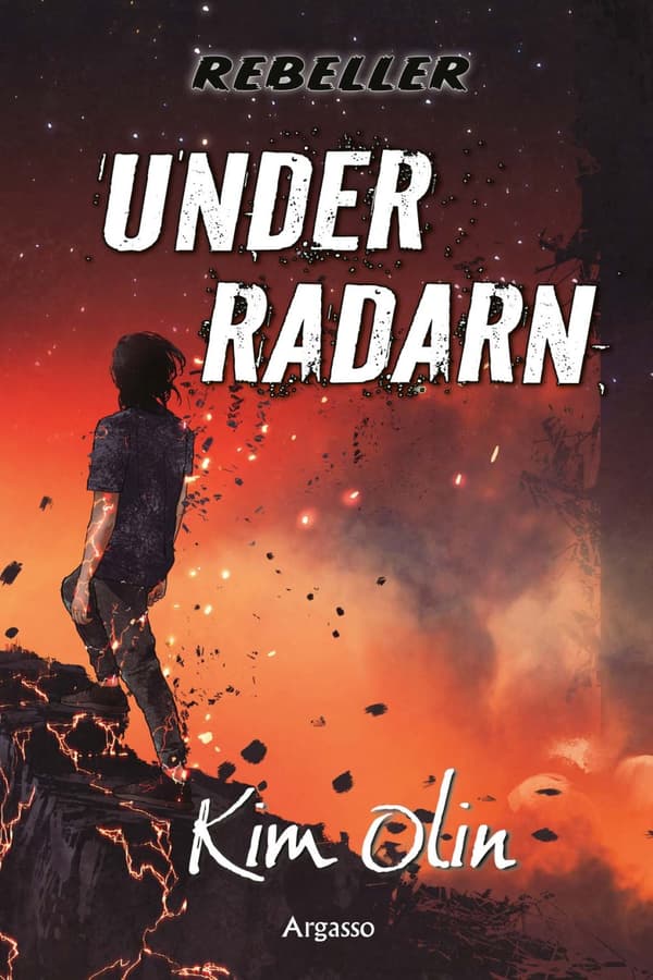 Under Radarn (Bok)