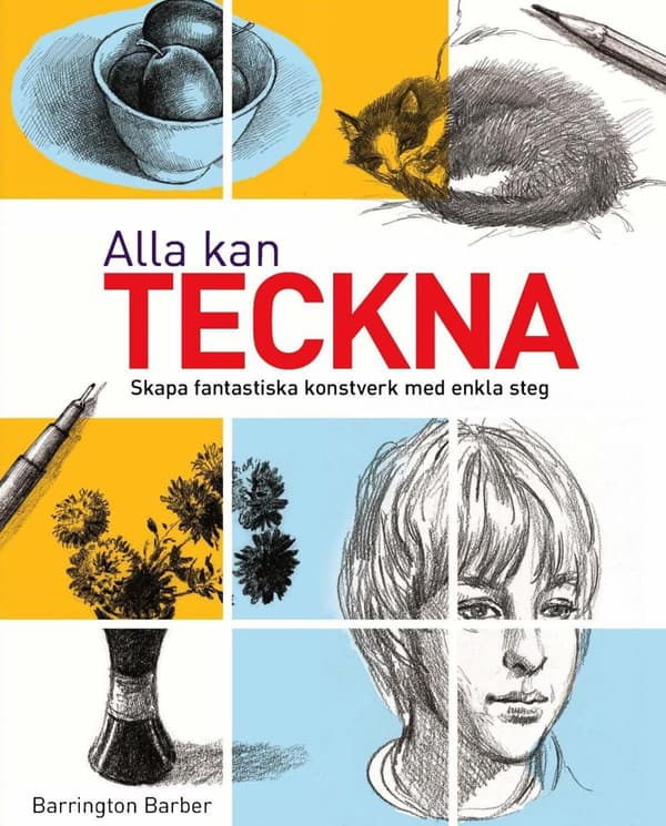 Alla Kan Teckna (Bok)