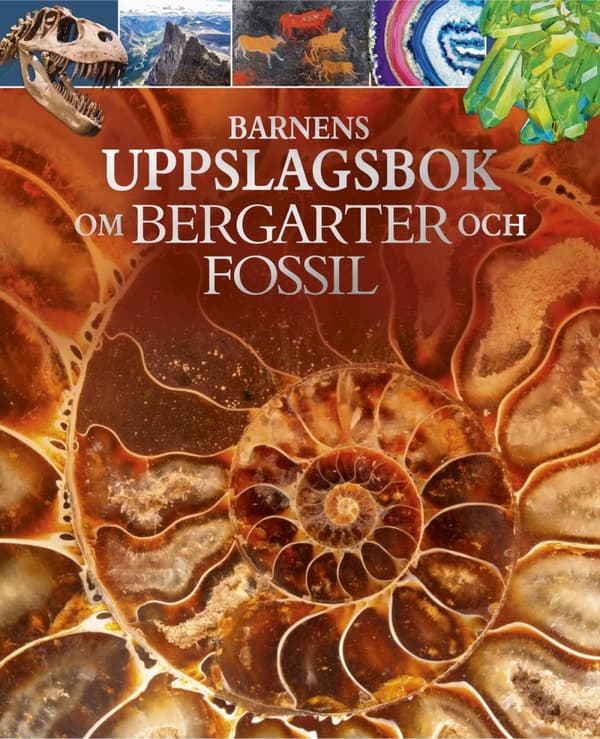Barnens Uppslagsbok Om Bergarter Och Fossil (Bok)