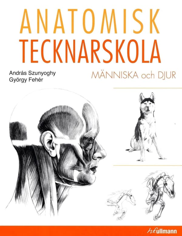 Anatomisk Tecknarskola - Människa Och Djur (Bok)