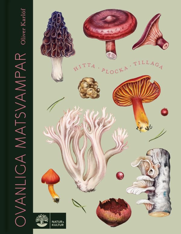 Ovanliga Matsvampar (Bok)