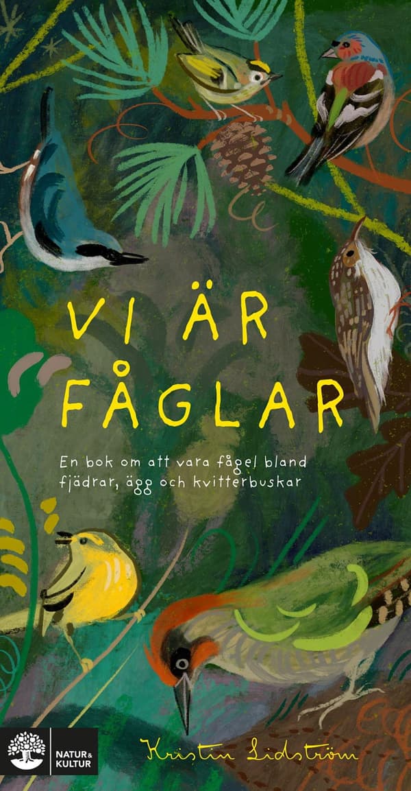 Vi Är Fåglar - En Bok Om Att Vara Fågel Bland Fjädrar, Ägg Och Kvitterbuskar (Bok)