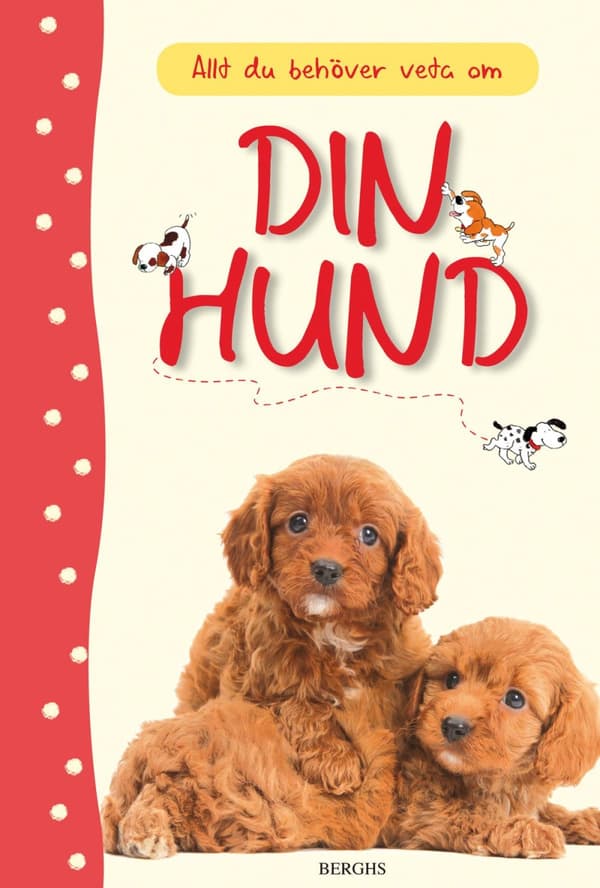 Allt Du Behöver Veta Om Din Hund (Bok)