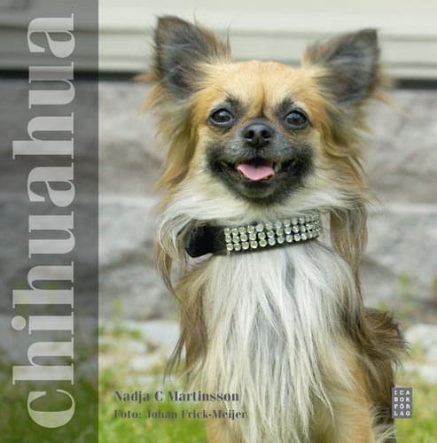 Chihuahua (Bok)
