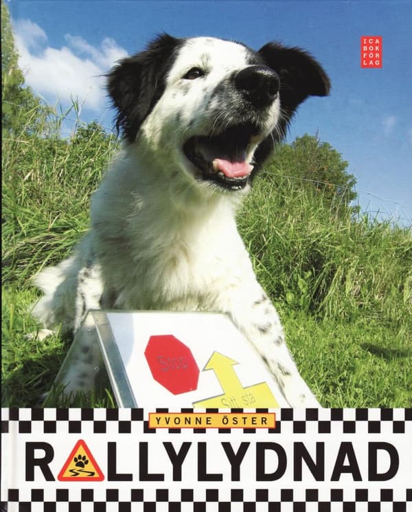 Rallylydnad (Bok)