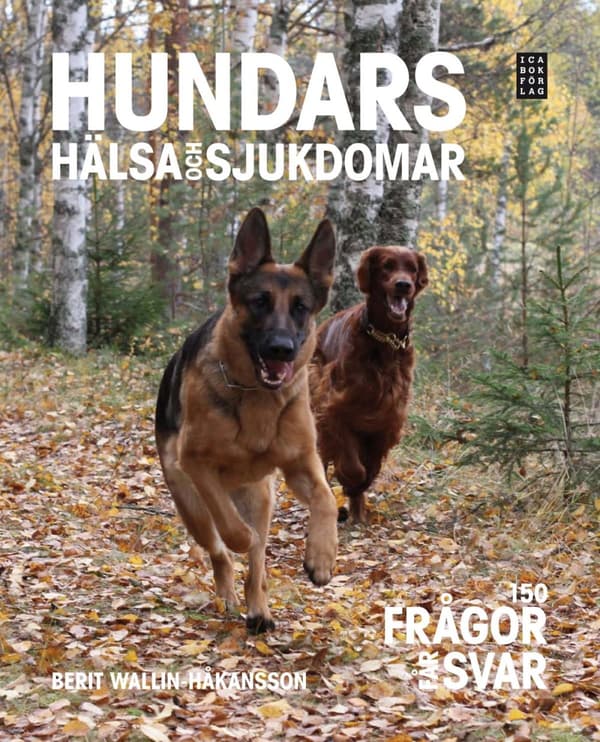 Hundars Hälsa Och Sjukdomar (Bok)