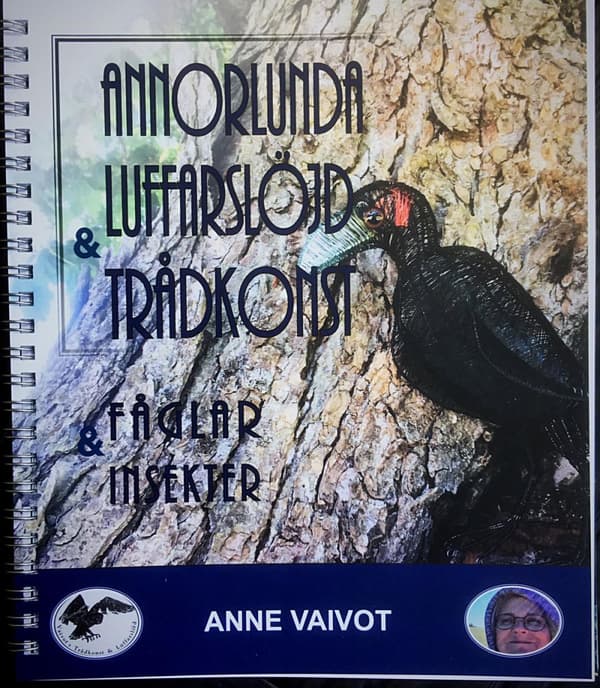 Luffarslöjd Och Trådkonst, Fåglar & Insekter (Bok)