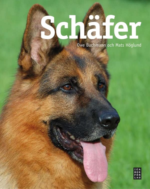 Schäfer (Bok)