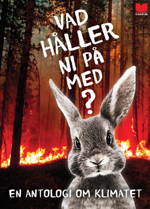 Vad Håller Ni På Med? - En Antologi Om Klimatet (Bok)