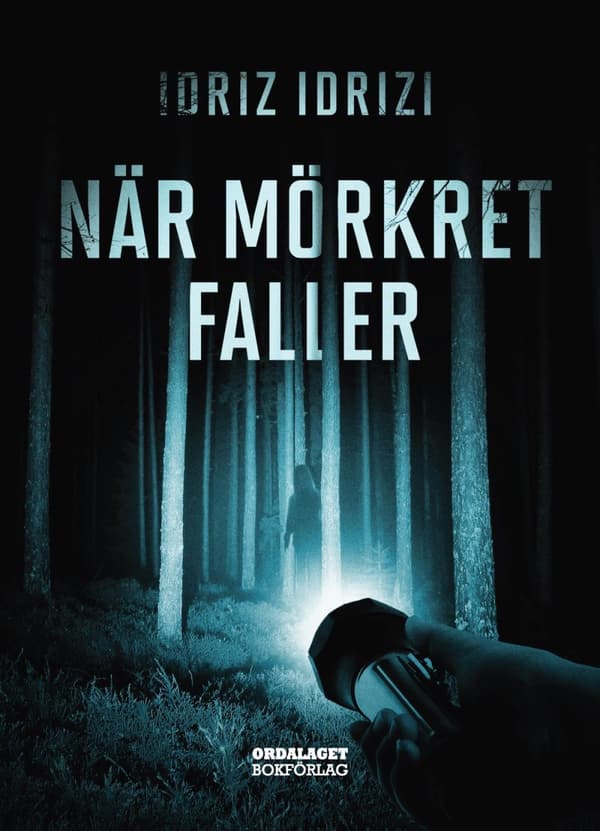 När Mörkret Faller (Bok)