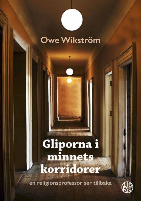 Gliporna I Minnets Korridorer - En Religionsprofessor Ser Tillbaka (Bok)